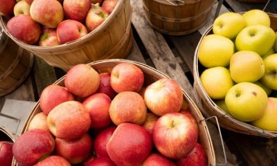 apples.jpg